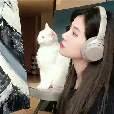 狂兽
